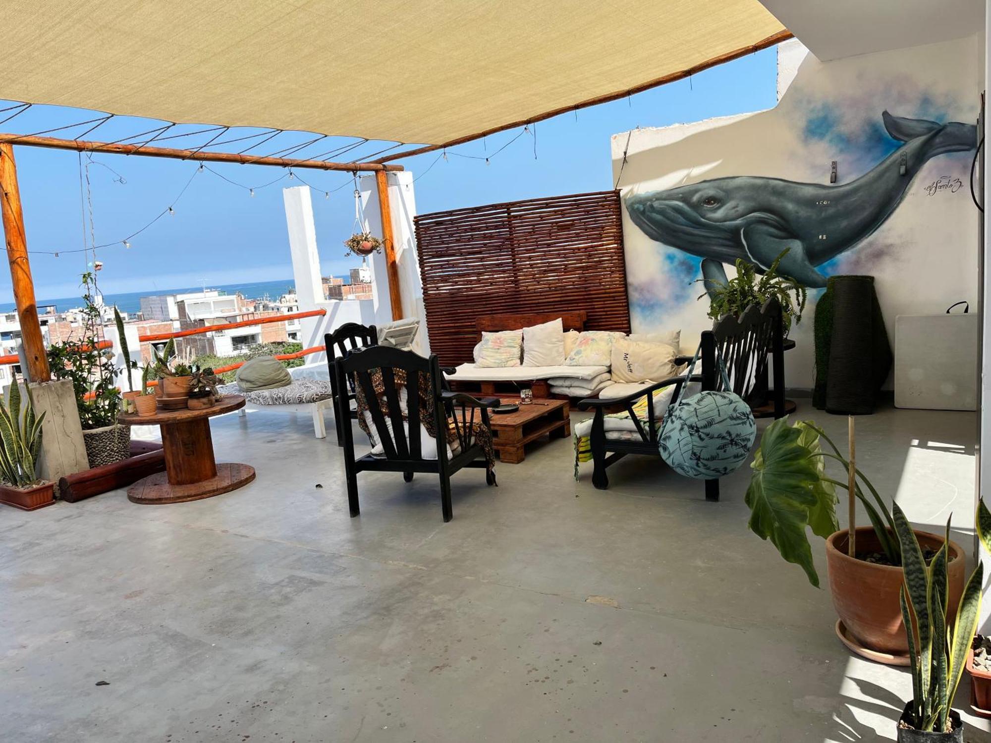 Bravo Hostels: Surf House
